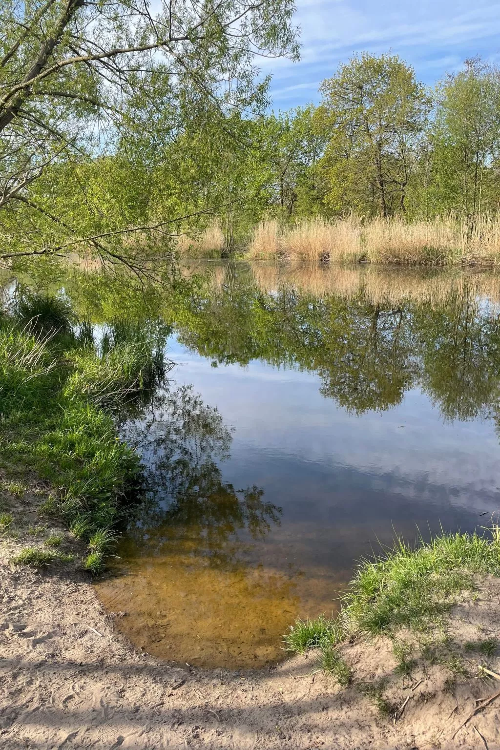 Datscha im Grünen-Buiten