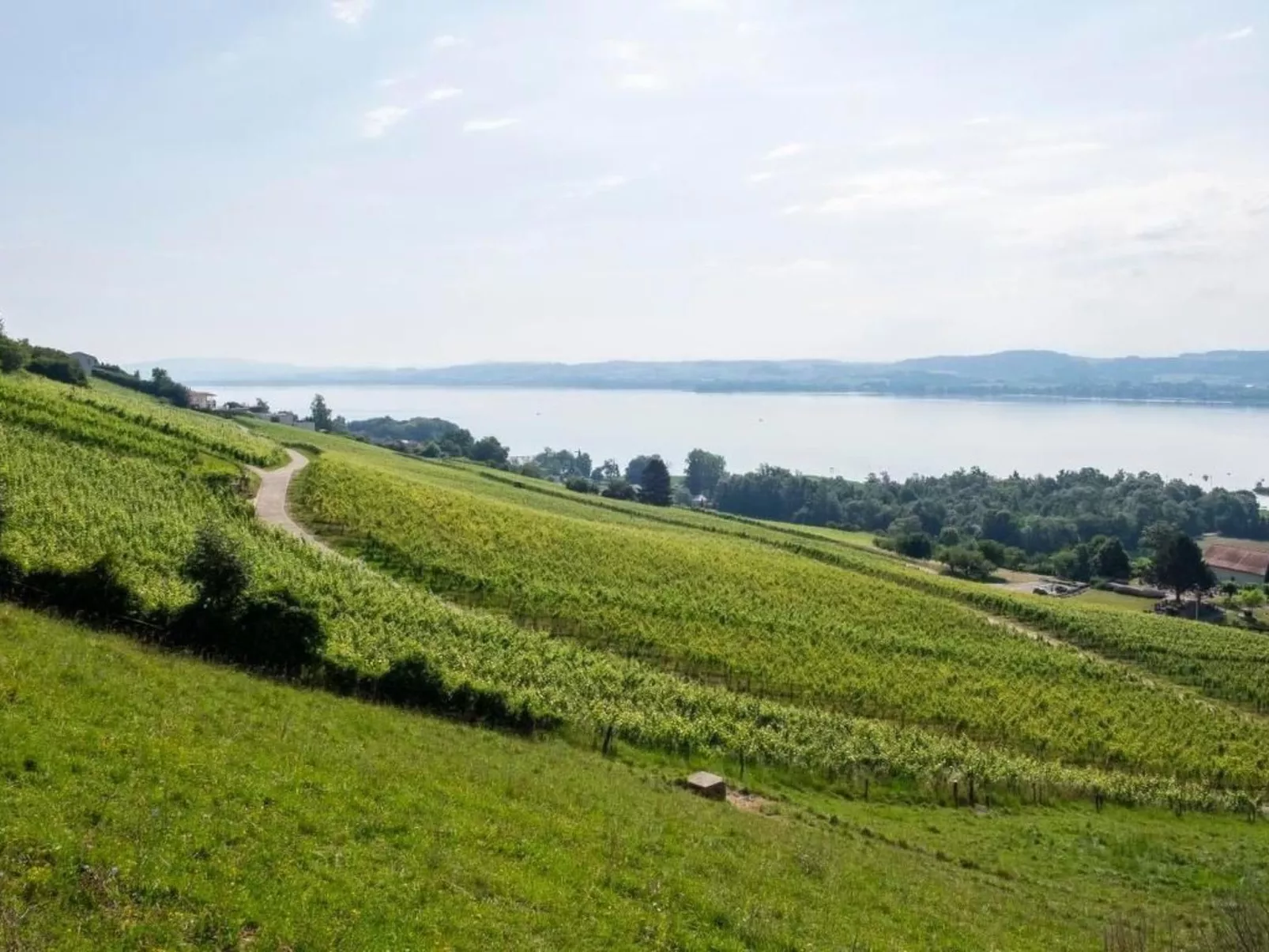 Gästehaus mit See- und Weitblick - Buiten