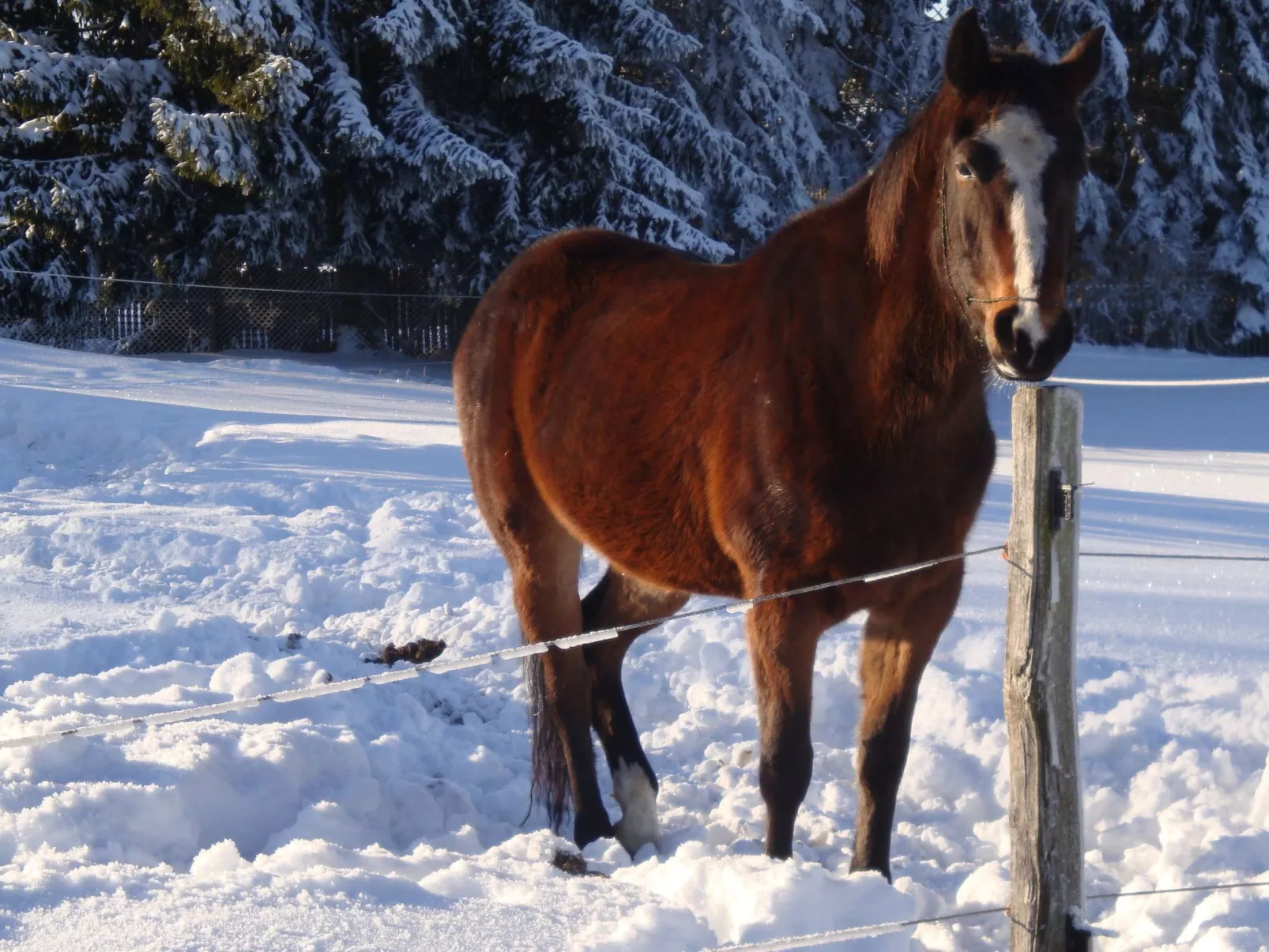 Vogtlandresidenz - Buiten