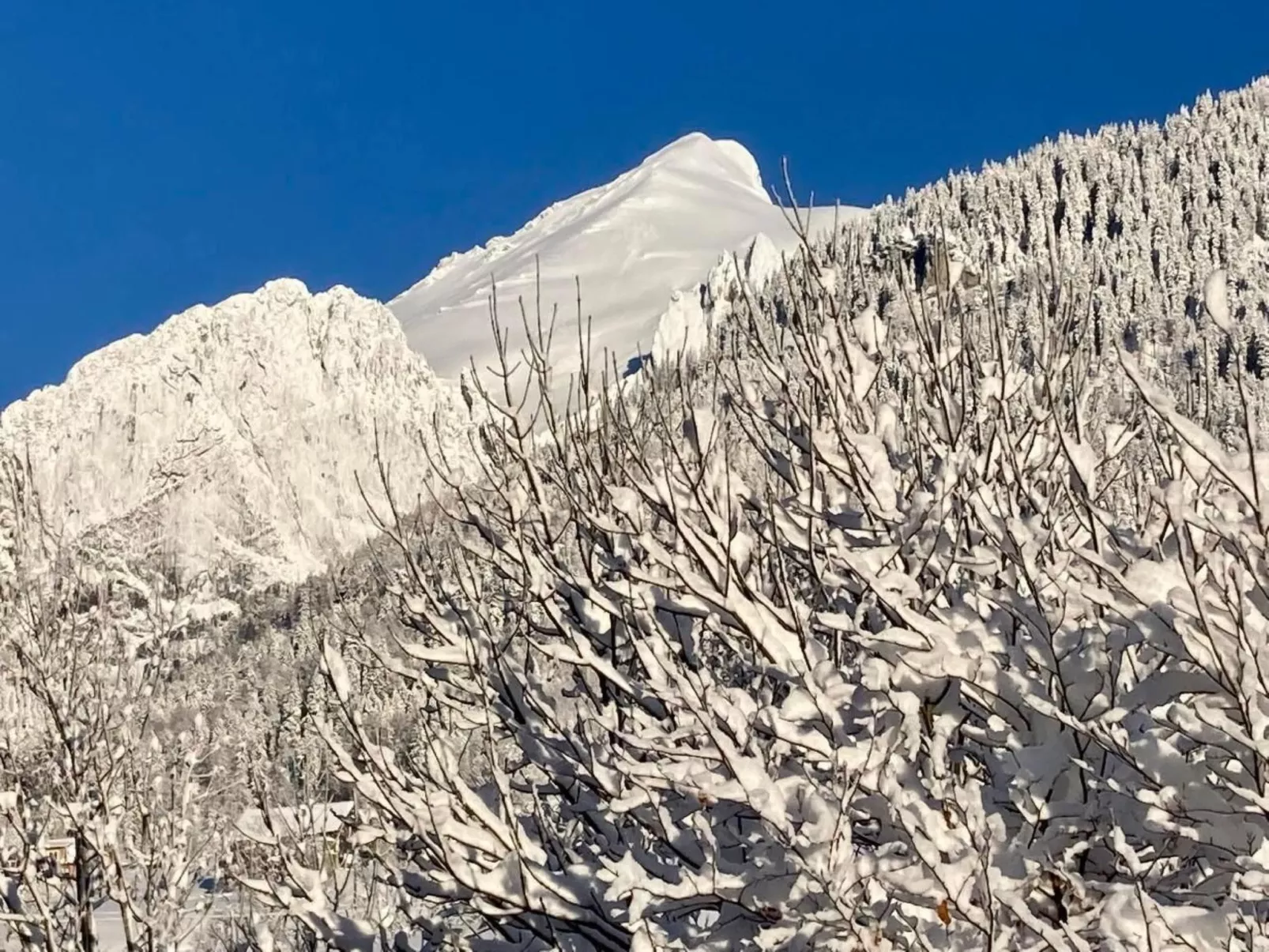 Haus am Bach-Image-tags.info