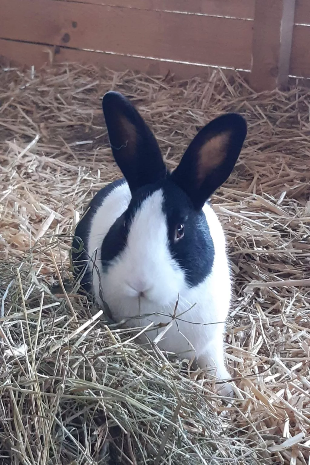 Schwändelifluh-Image-tags.info