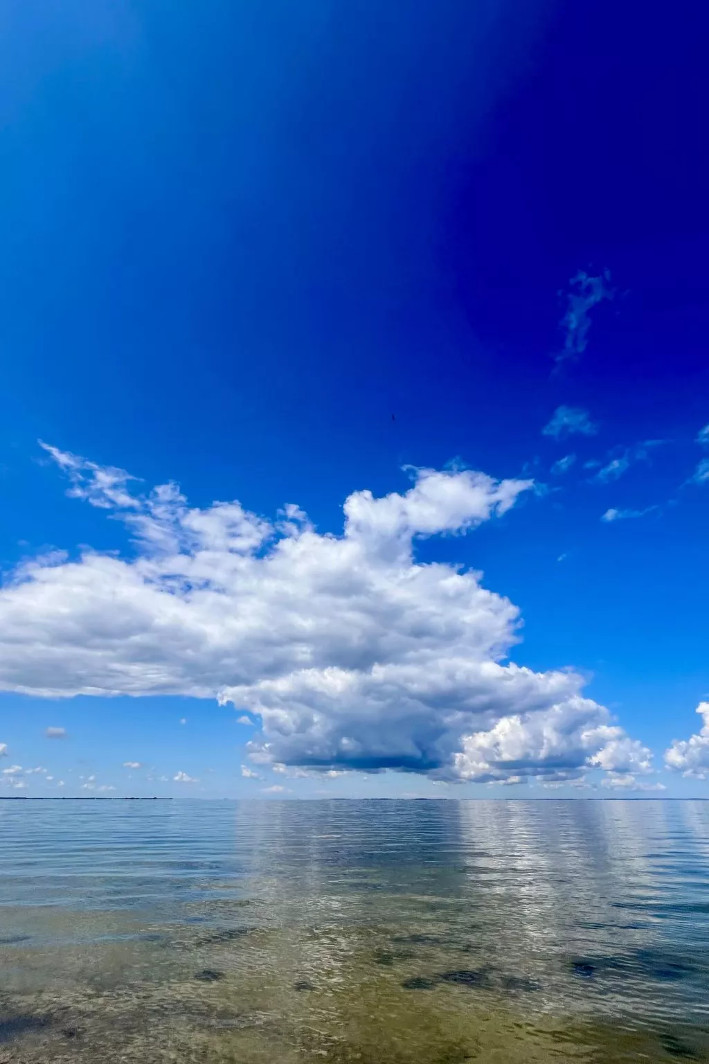 Stormy im Nauticum-Buiten