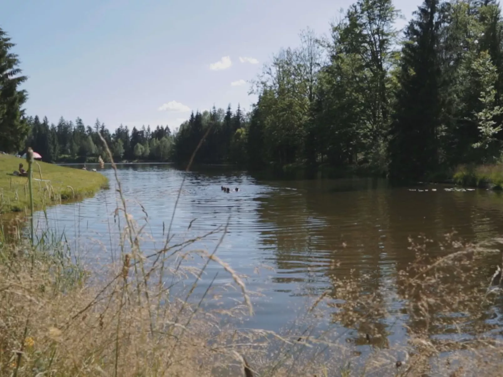 Für 4 Personen im Bayerischen Wald-Buiten