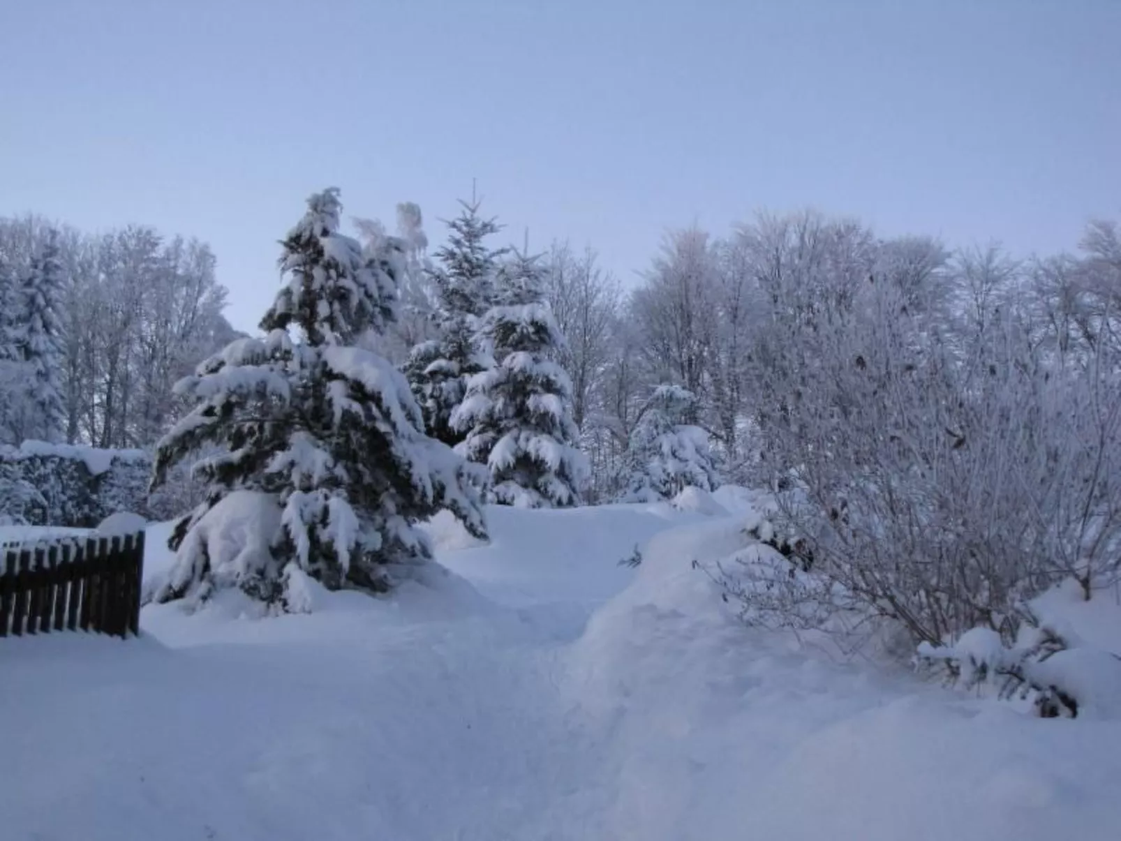 FeWo Siebert-Image-tags.info