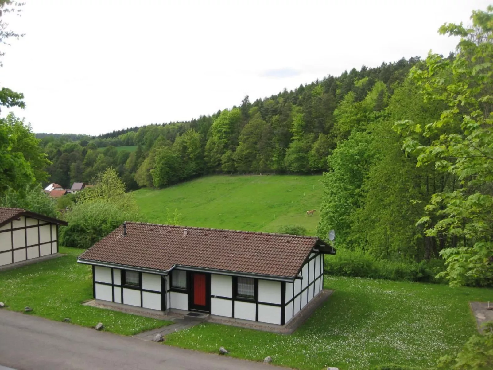 Scout 42-Image-tags.info