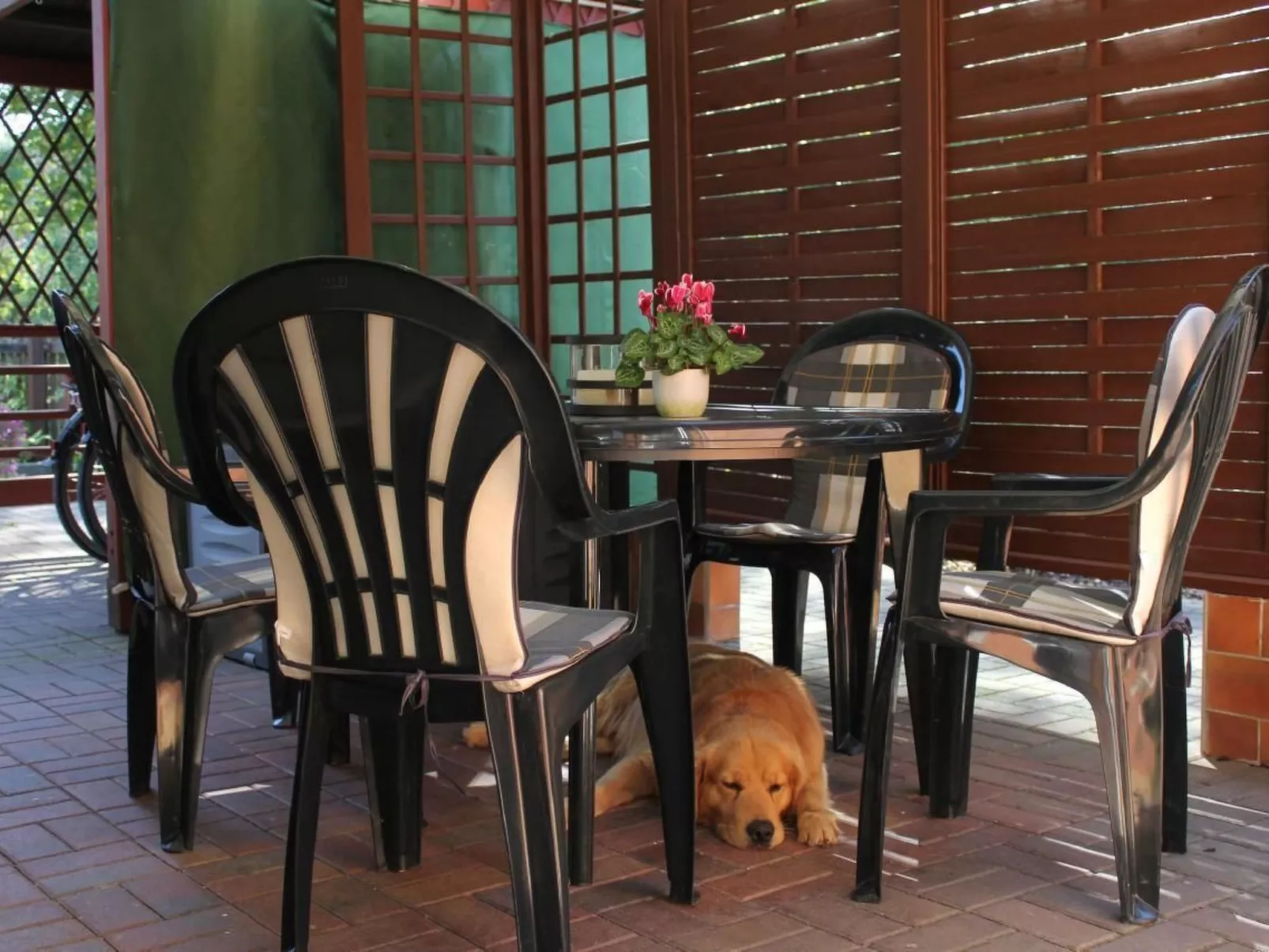 In Alt-Schadow mit Grill und Terrasse-Buiten