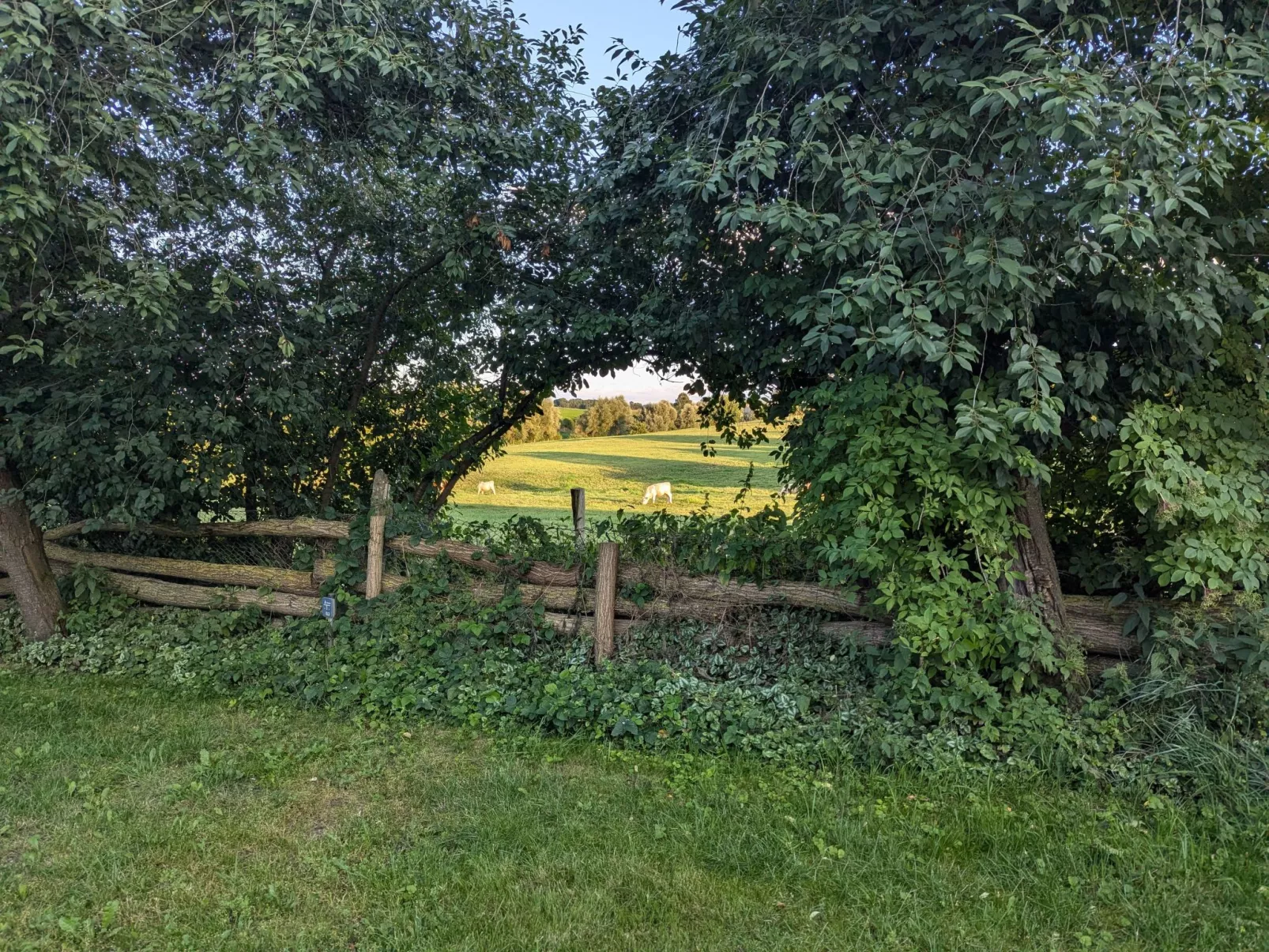 In Berkenlatten mit Großer Terrasse-Image-tags.info