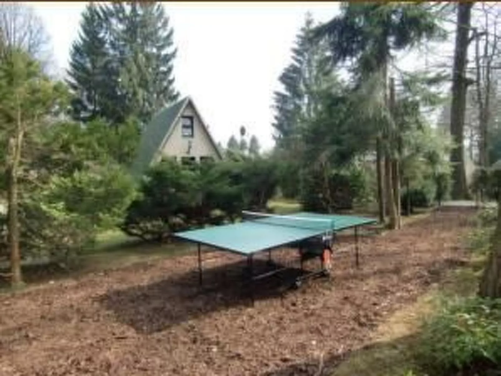 Haus Waldblick-Image-tags.info