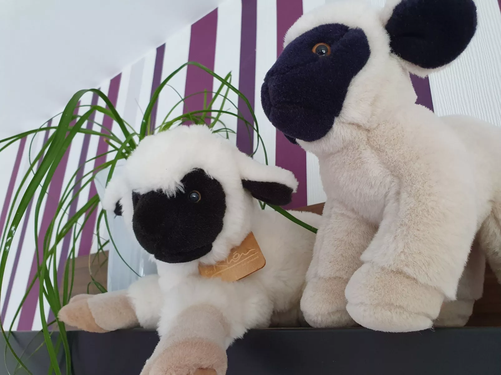 Casa Maria in Ehrenberg an der Rhön-Binnen