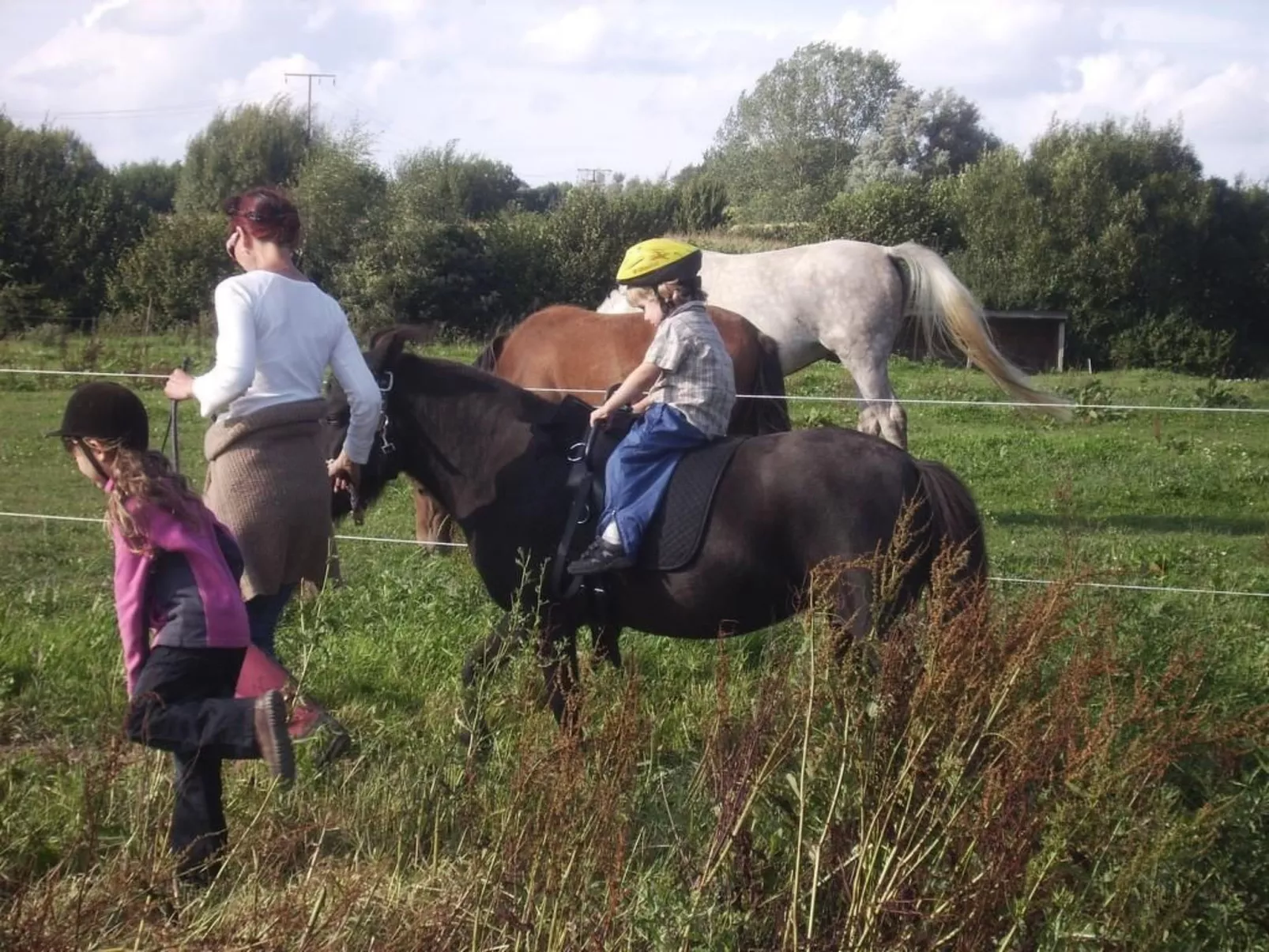 Hof Rodenkrog Fewo 2-Image-tags.info