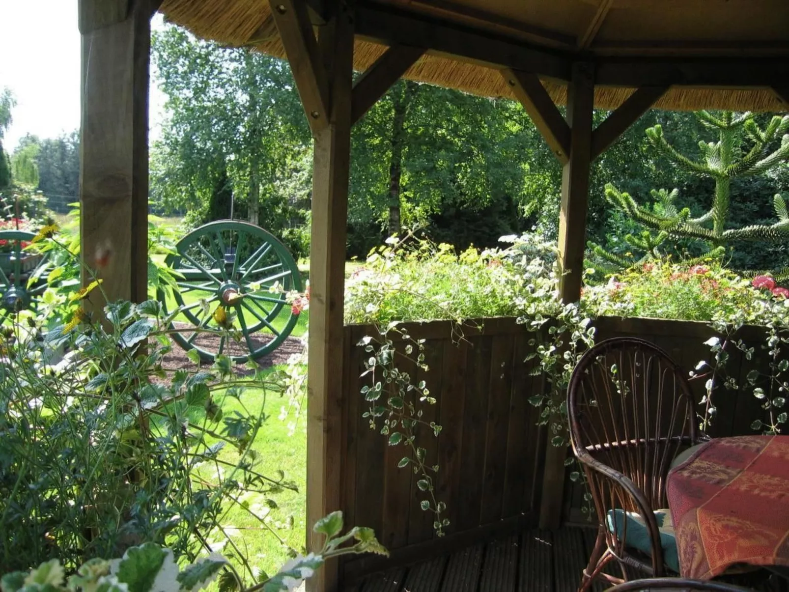 Borkum-Image-tags.info