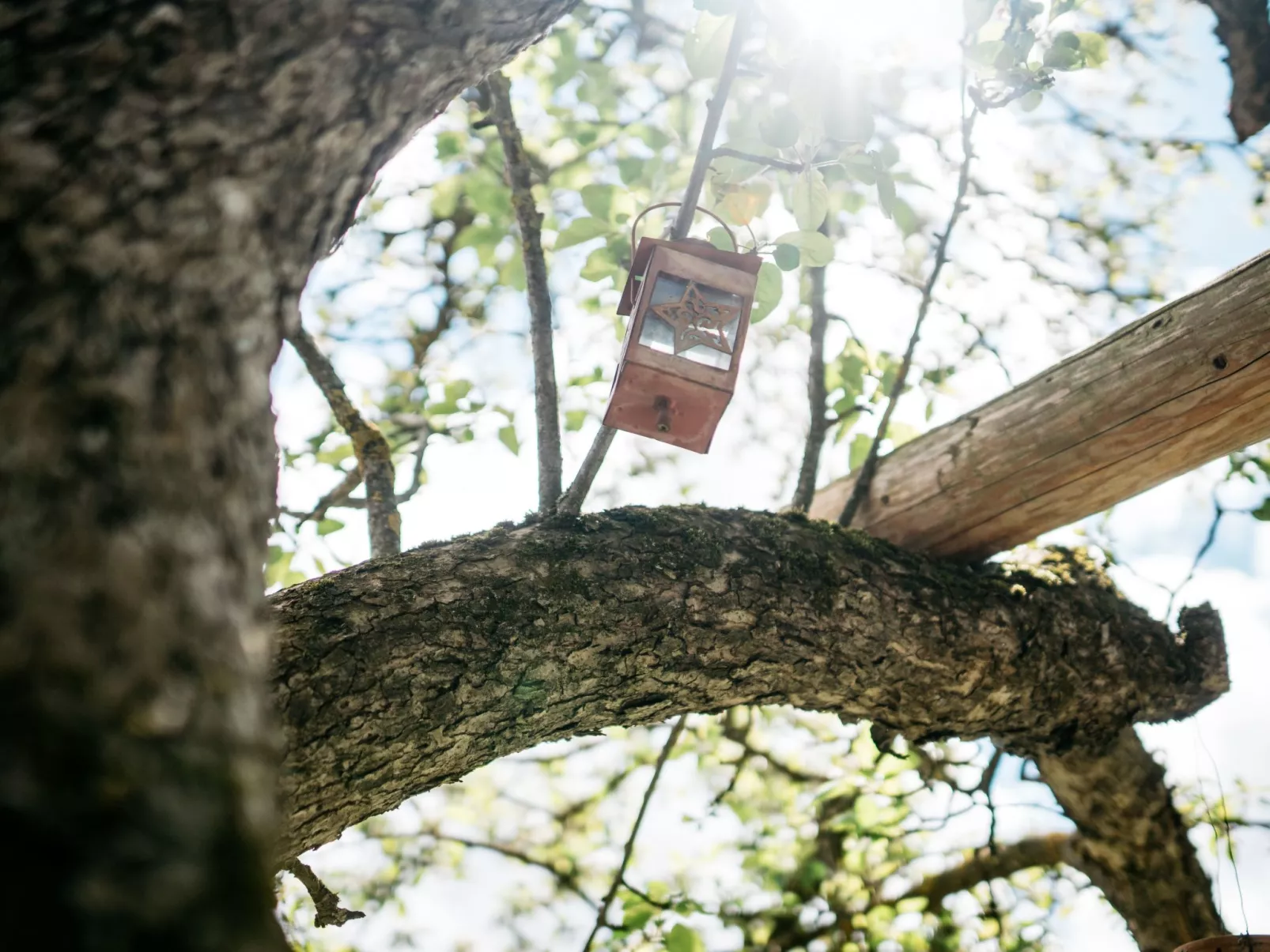 Gemütliches Ferienhaus in Feistritz Ob Bleiburg-Buiten