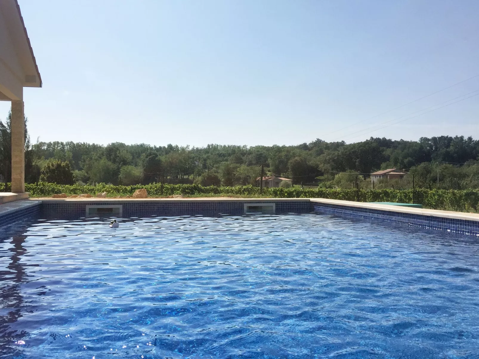 Charmante Villa mit gepflegtem Garten und beheiztem Pool-Buiten