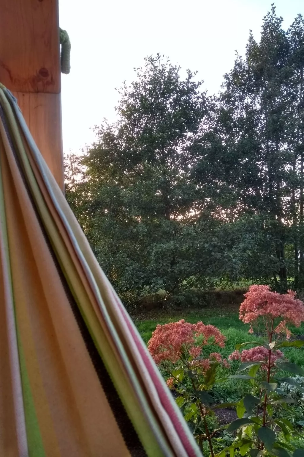 Urlaub Zirkuswagen-Buiten