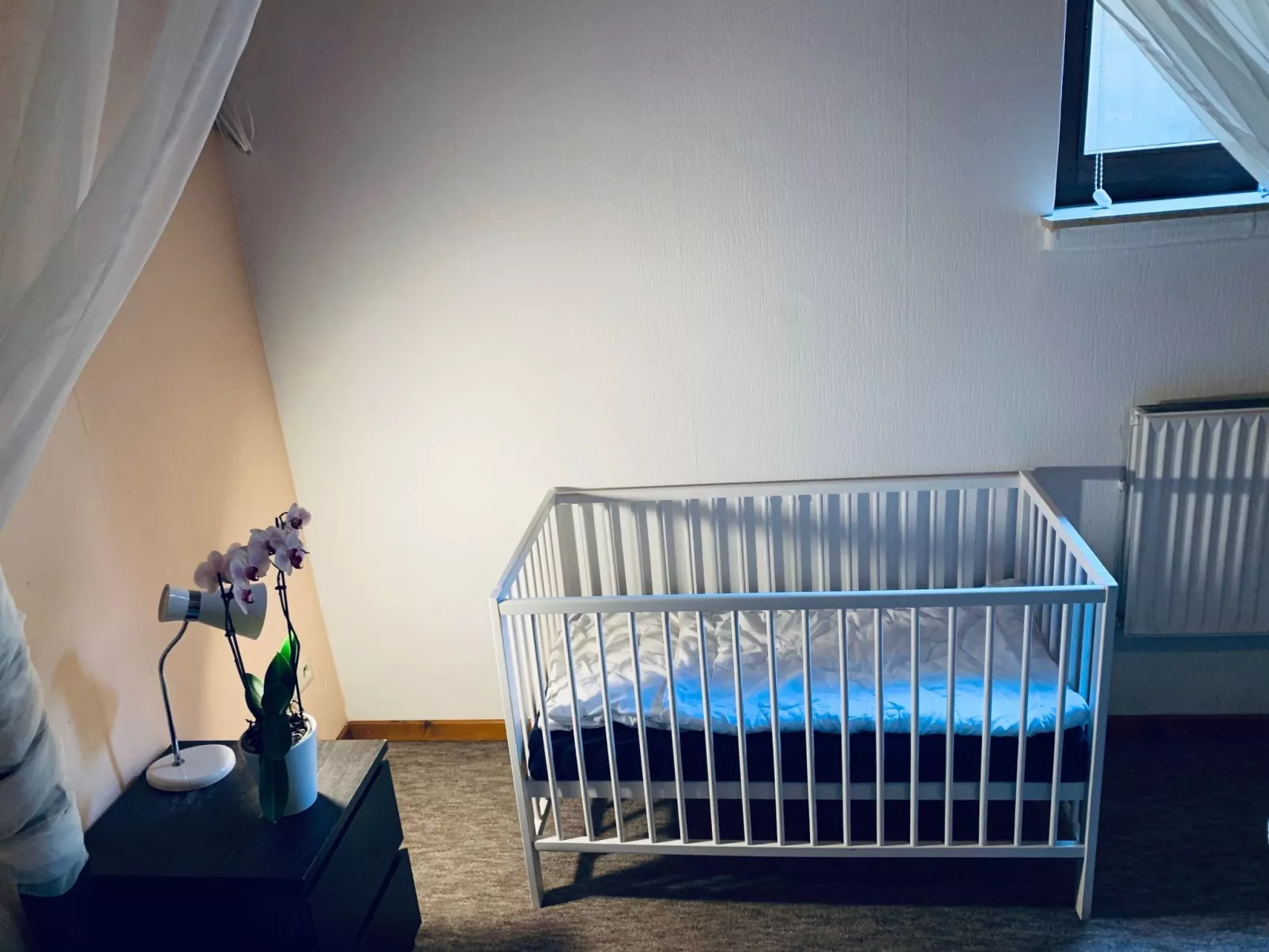 In Goddelsheim mit Eigener Terrasse-Binnen