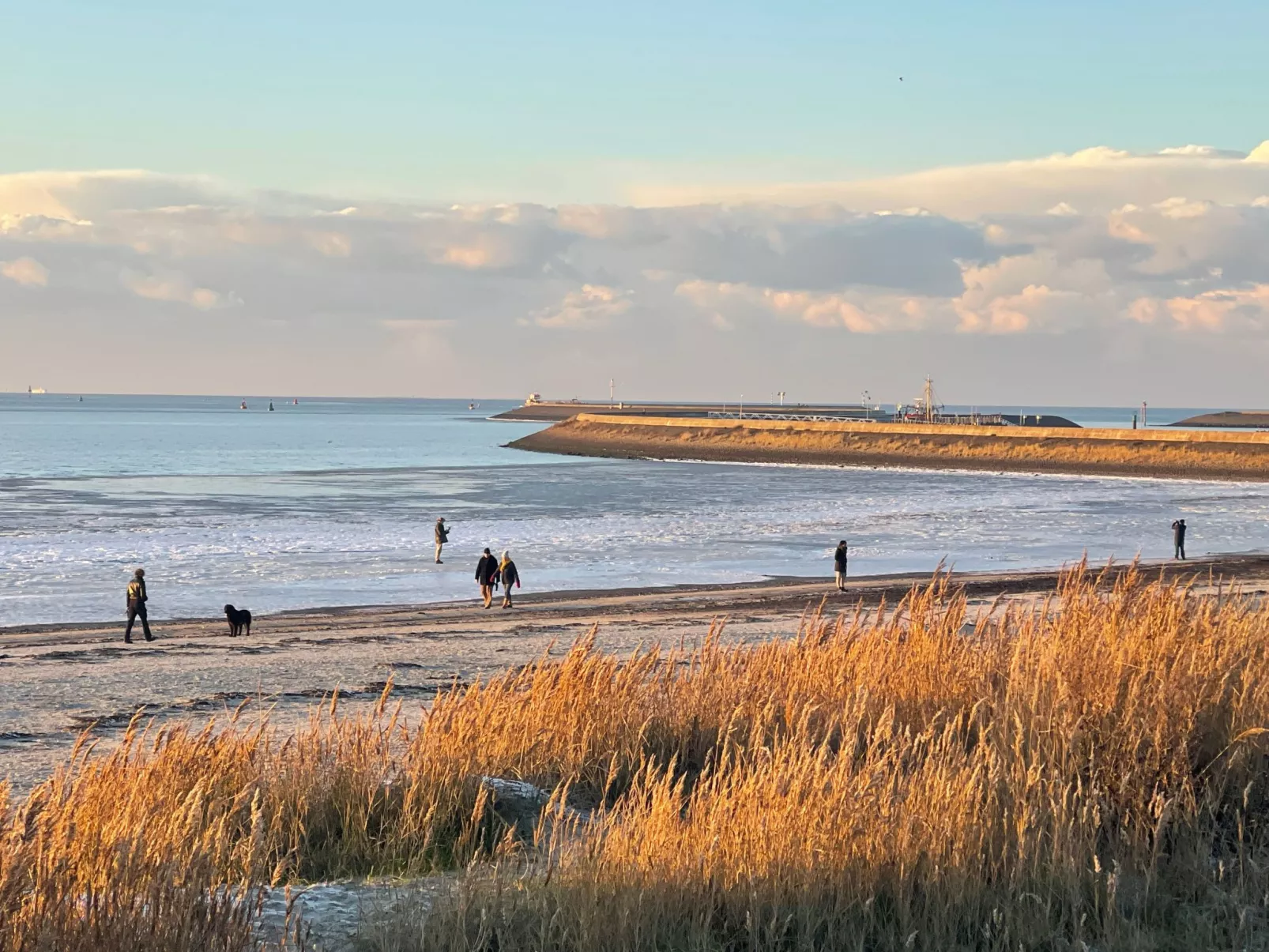 FH Satijnduiker-Buiten