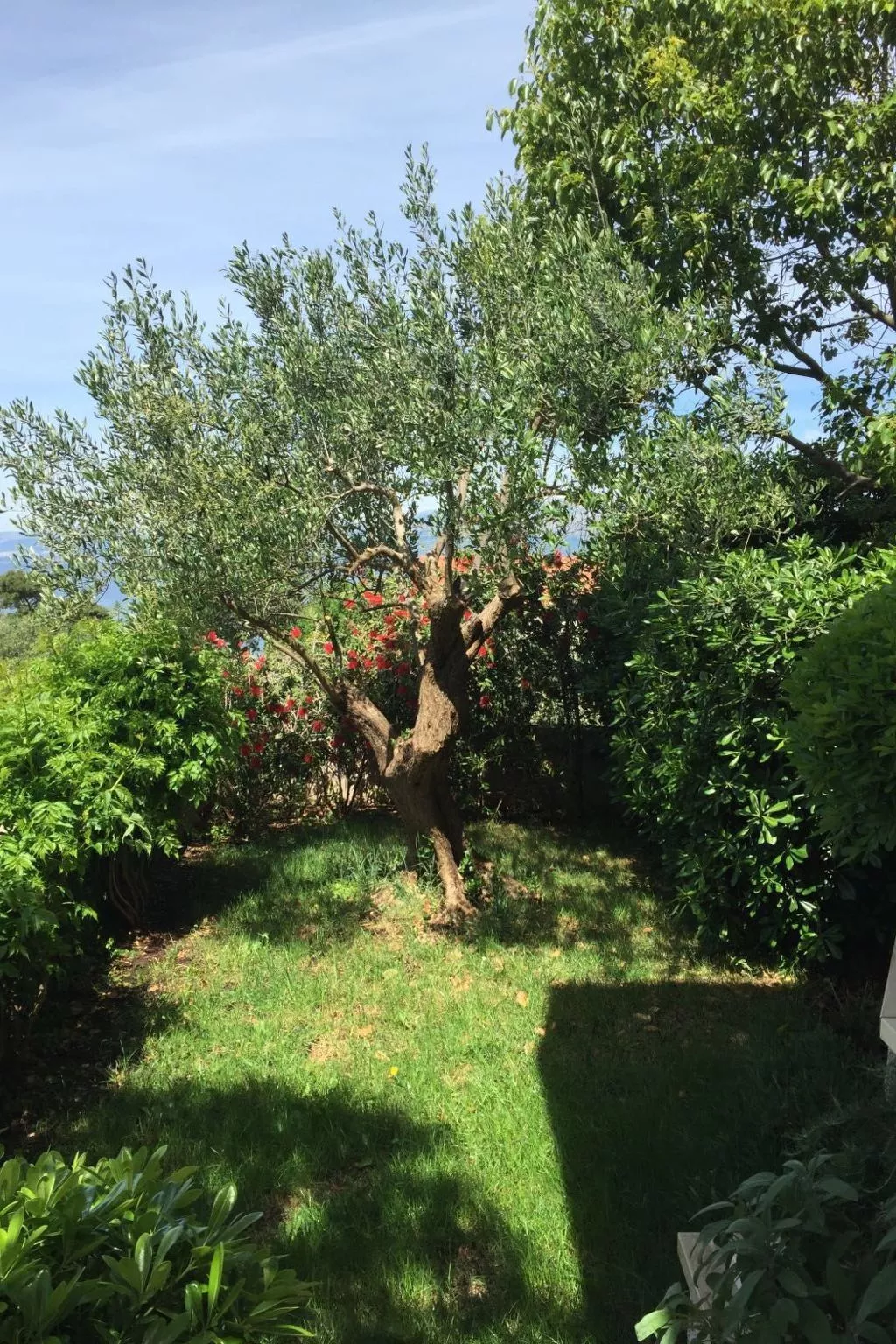 In der ersten Etage mit Meerblick-Buiten