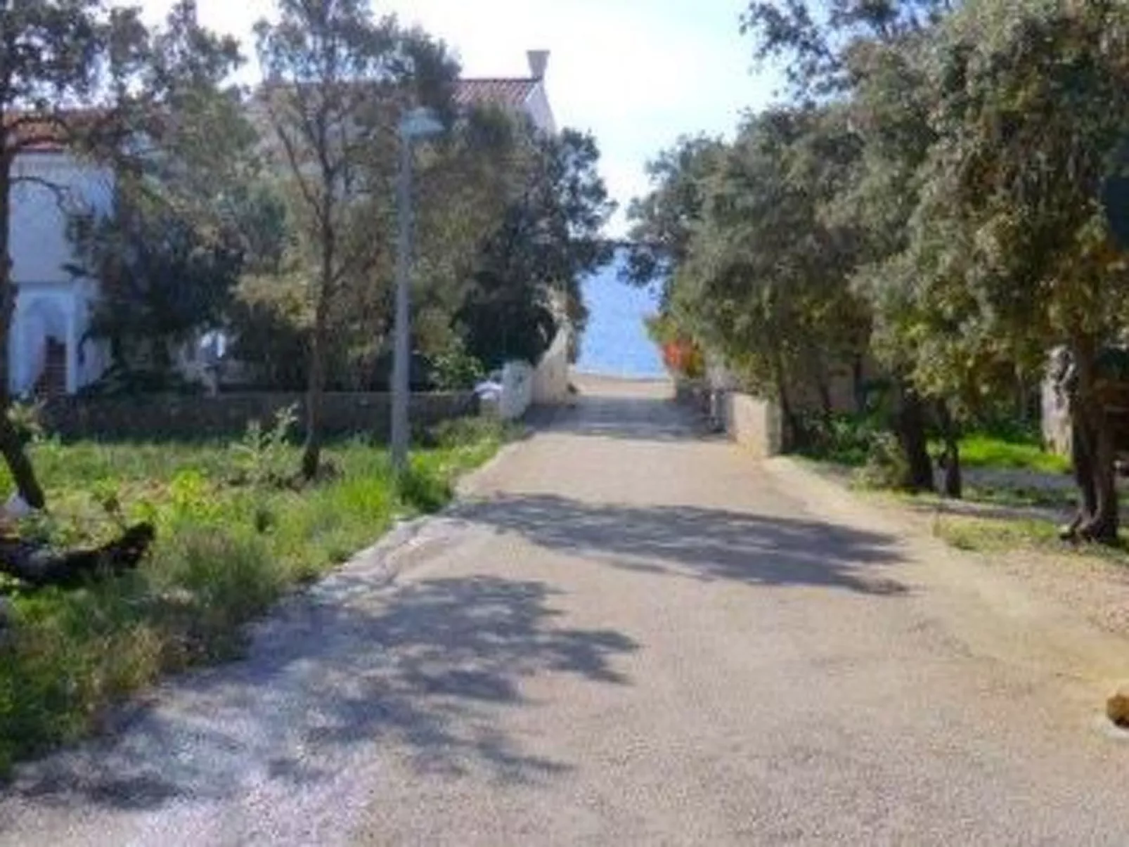 Mandre-Image-tags.info