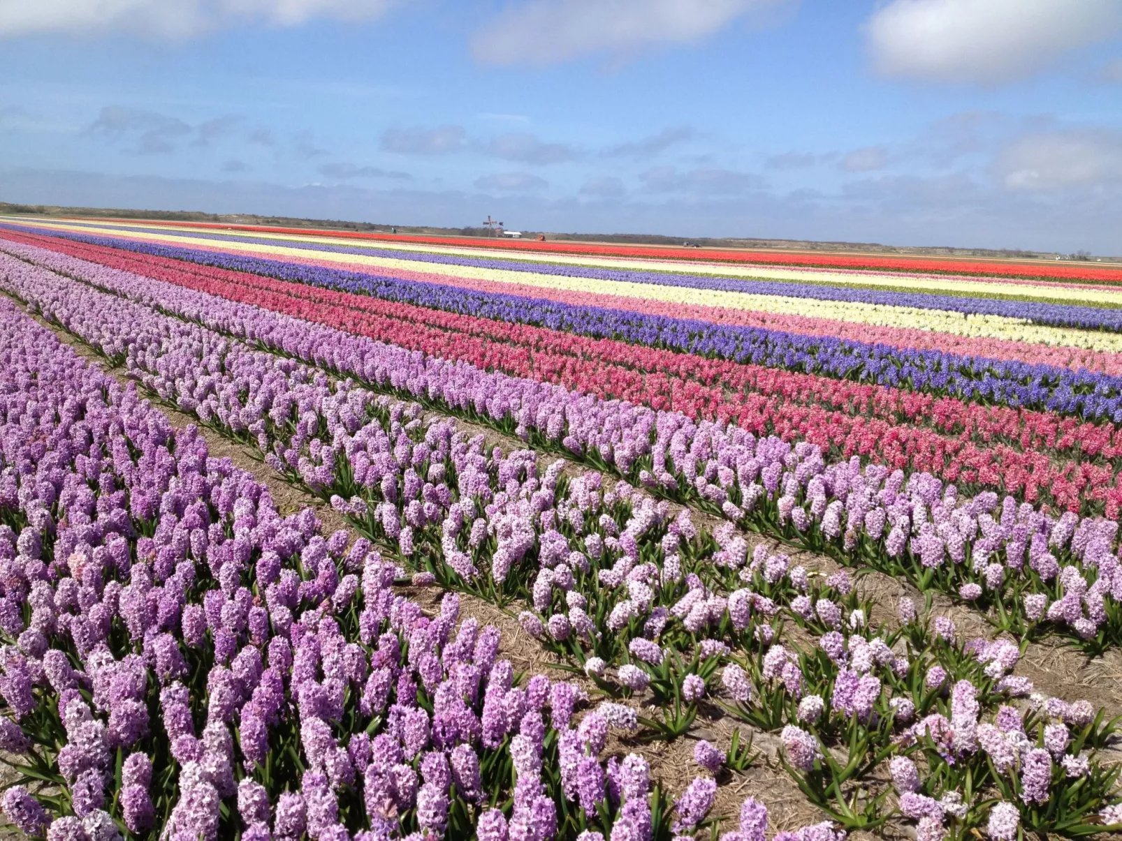 De Korre 2 in Callantsoog-Buiten