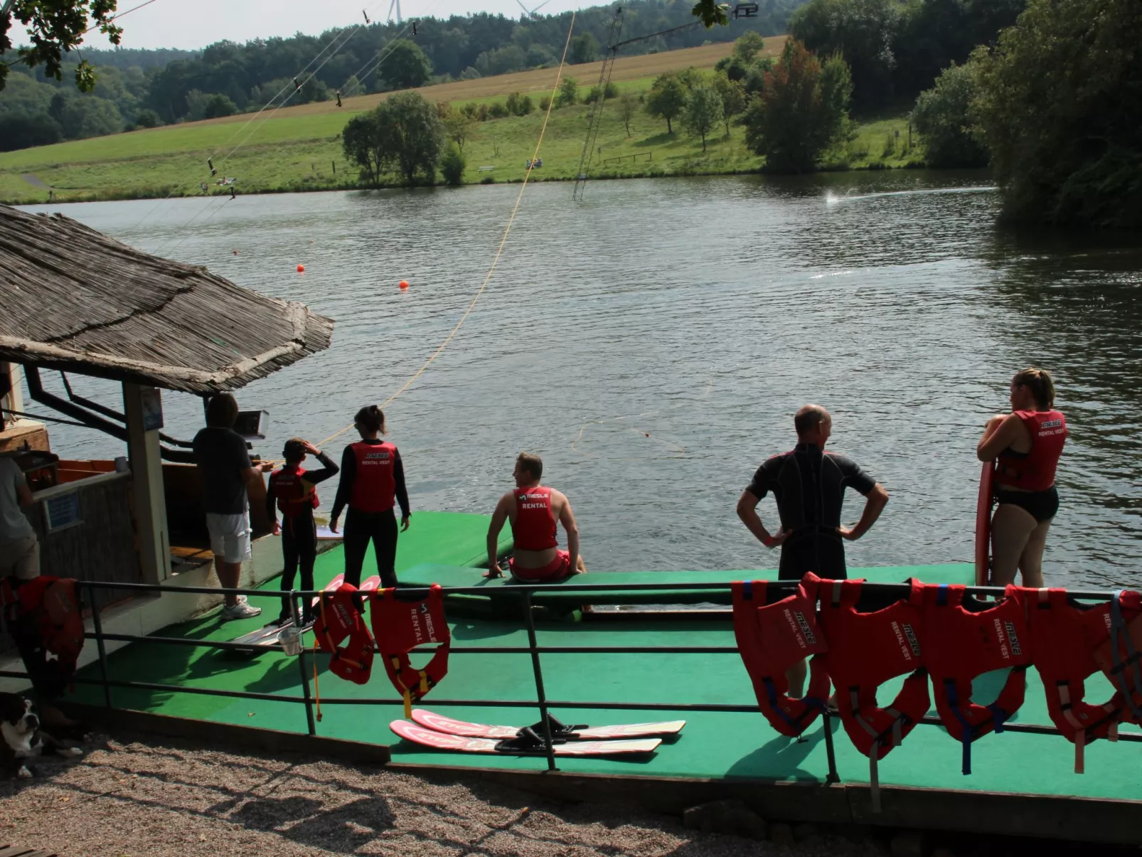 Haus Schmetterfly-Image-tags.info