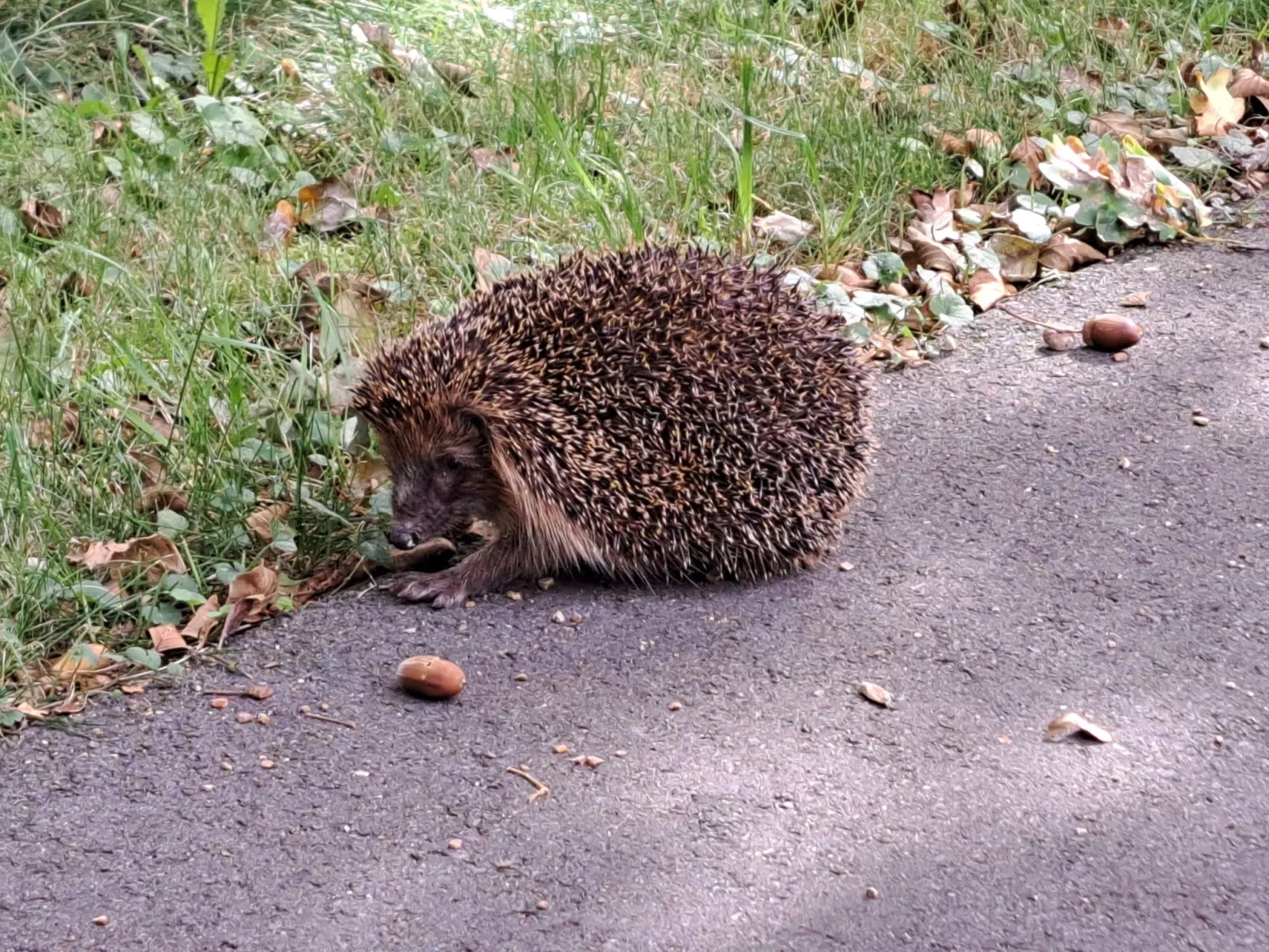 Fh "Molkenberg"-Image-tags.info