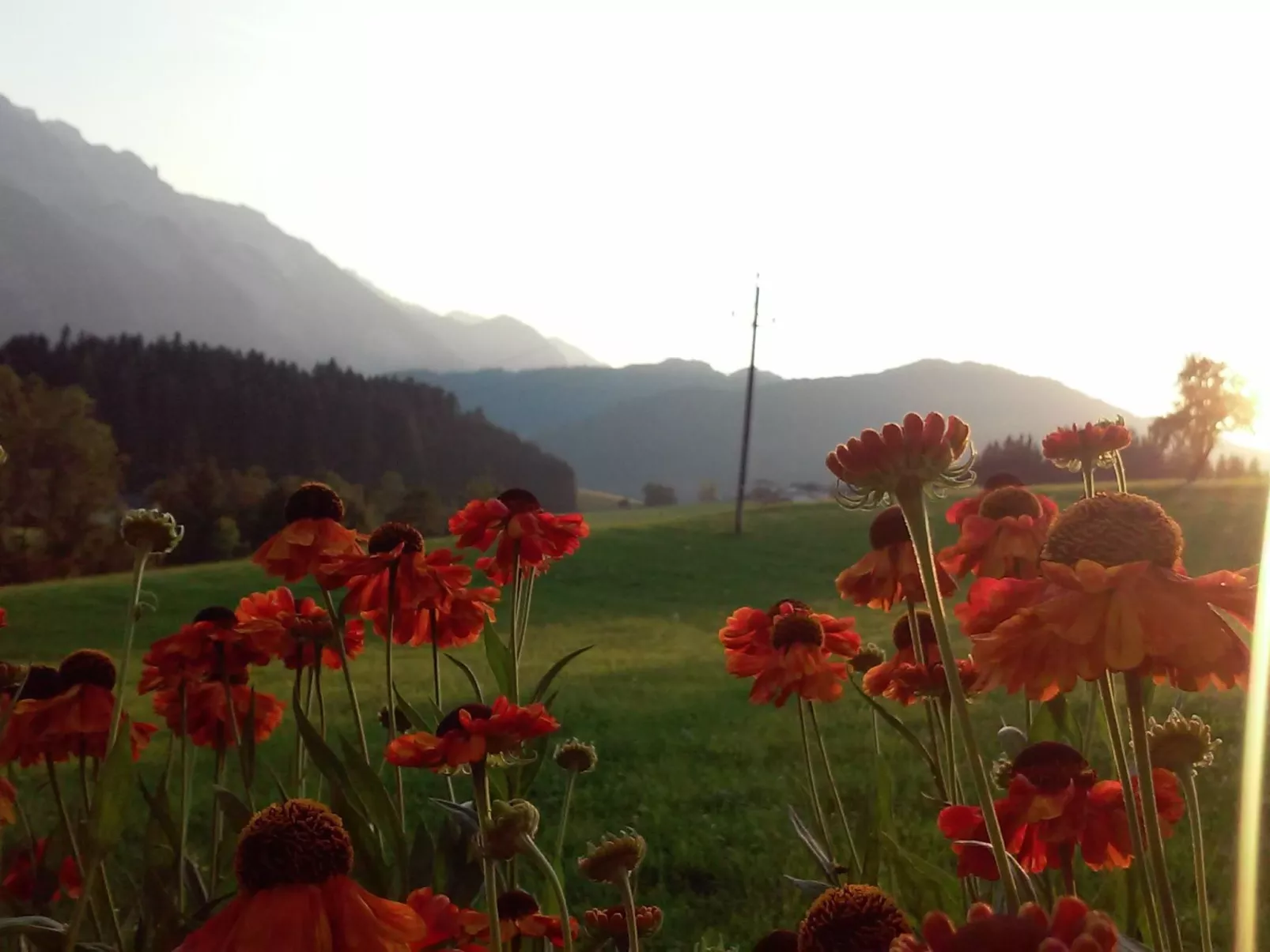 Gsenger in Abtenau-Image-tags.info