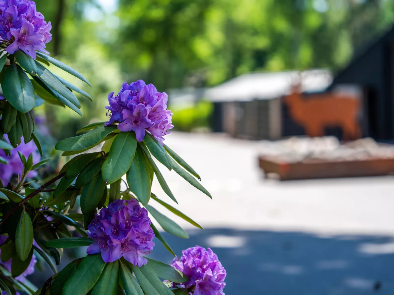 Celisa s Häuschen-Omgeving