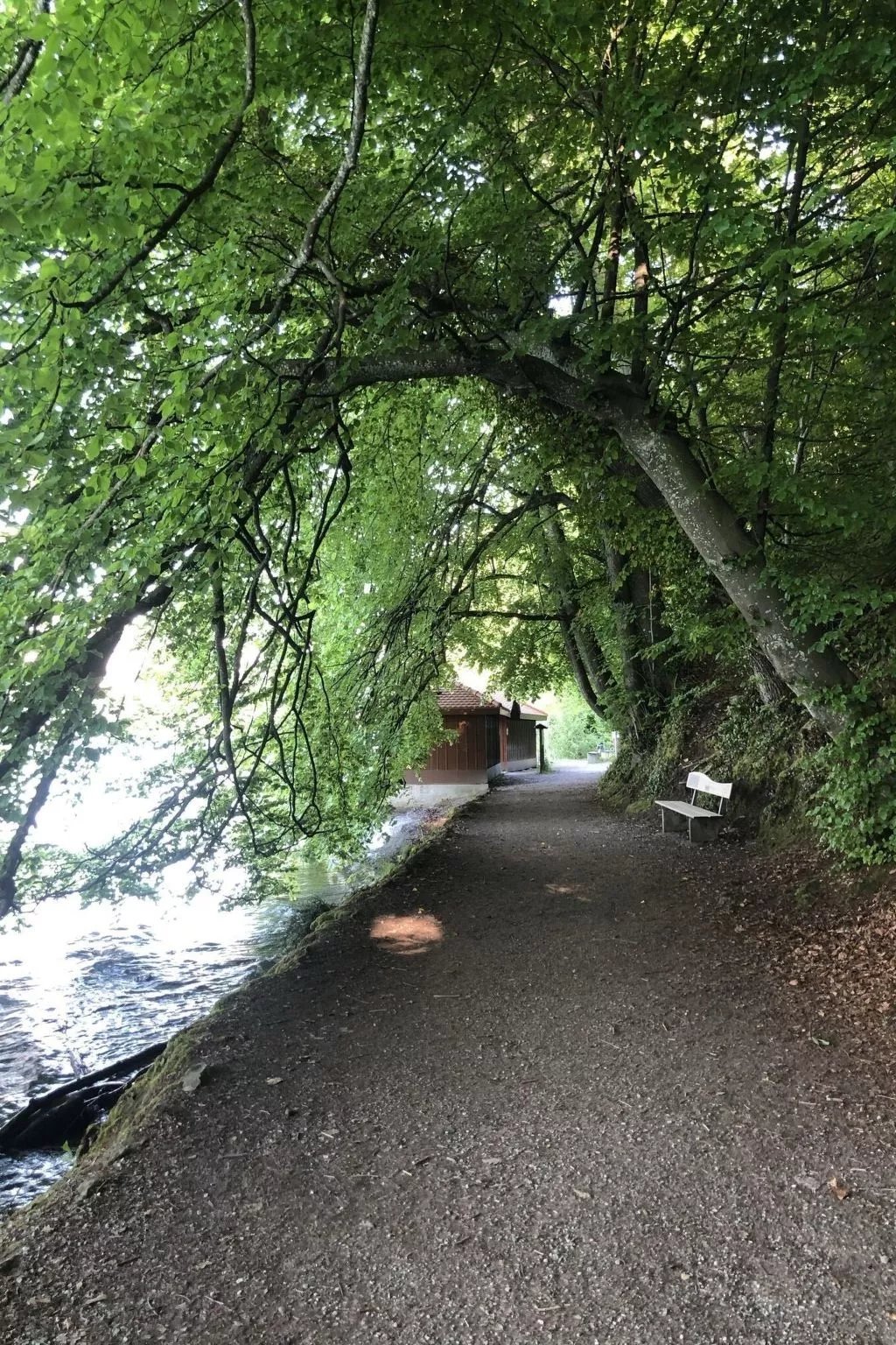 Seepark, direkt am See-Image-tags.info