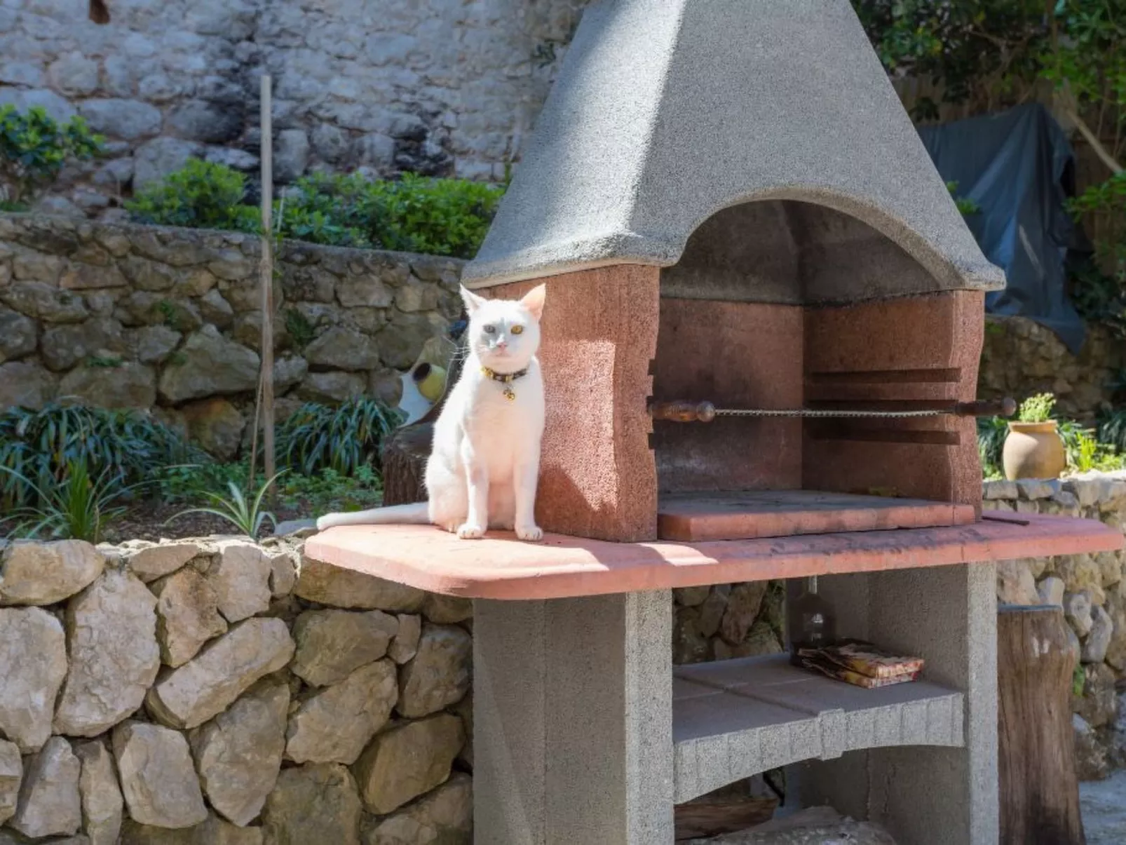 Wohnung Luna-Image-tags.info