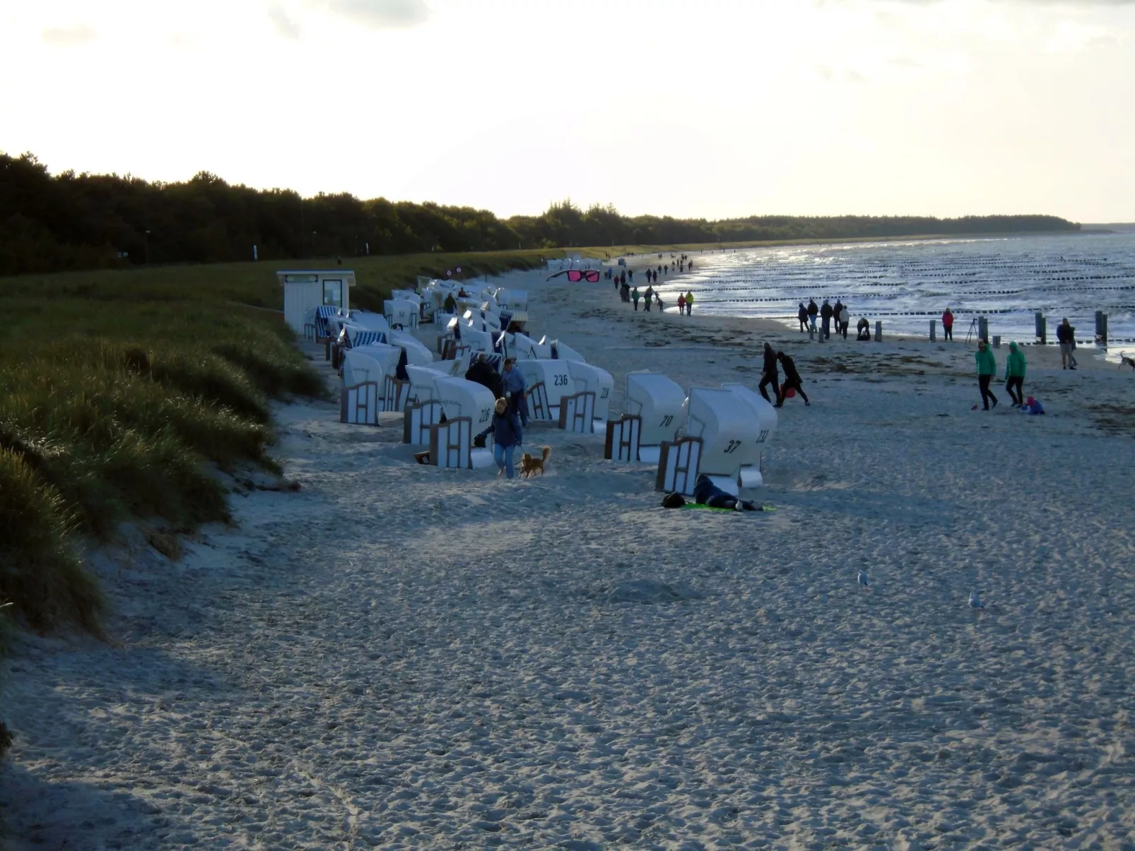 Komfortable Ferienwohnung in Zingst-Buiten