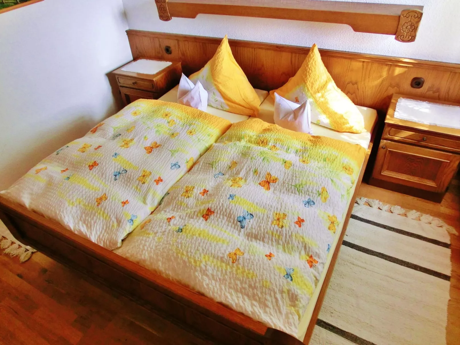 Panoramabergblickwohnung in ruhiger Einzellage-Binnen