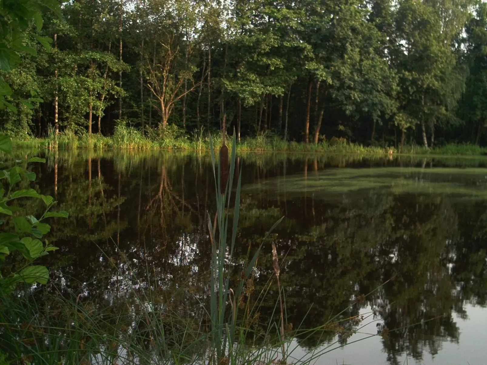 Fewo Stricker 21-Buiten