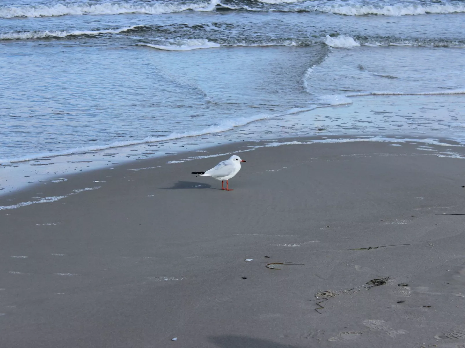 Ostseebrandung in Dranske-Image-tags.info