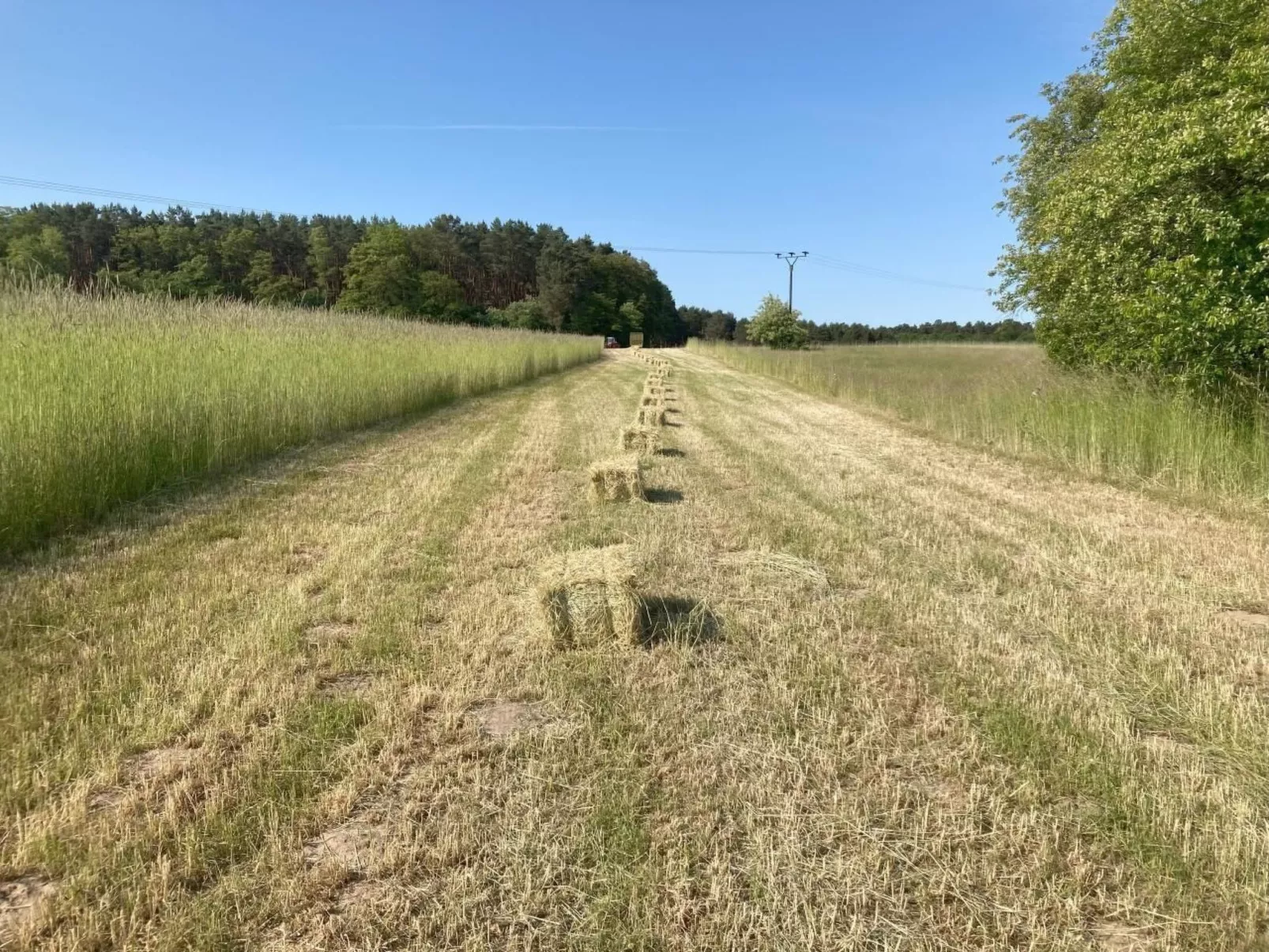 Bungalow Mecklenburgische Seenplatte-Buiten