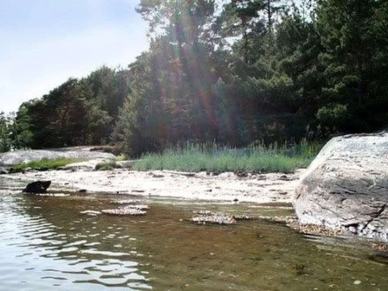 Wunderschönes Cottage "Traum von Wald und Meer"-Buiten