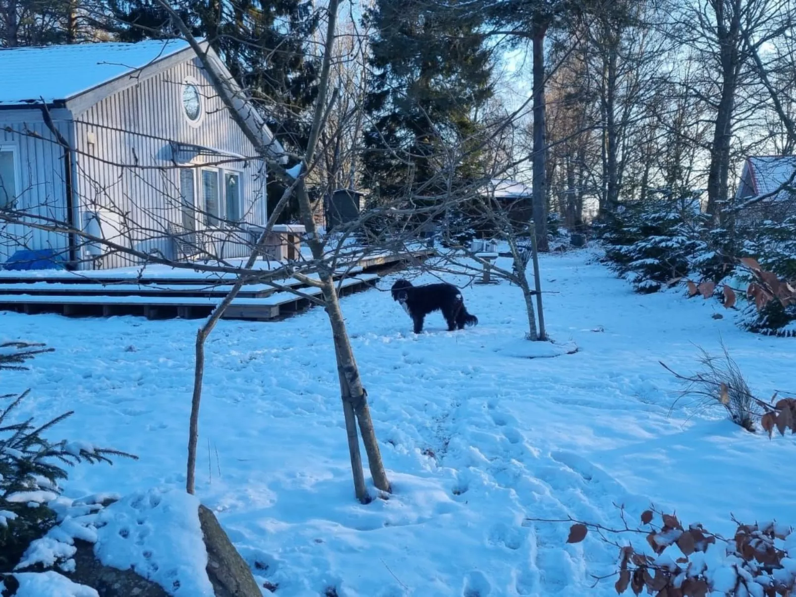 Mit Terrasse, Grill und Garten-Buiten