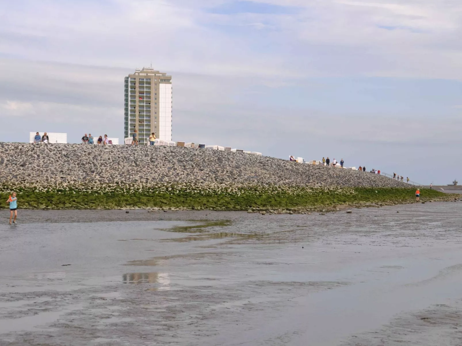 Minimi-Image-tags.info