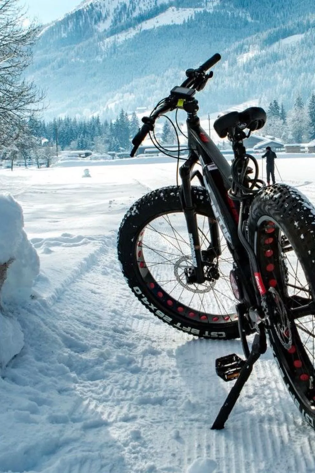 Schwalbennest-Image-tags.info