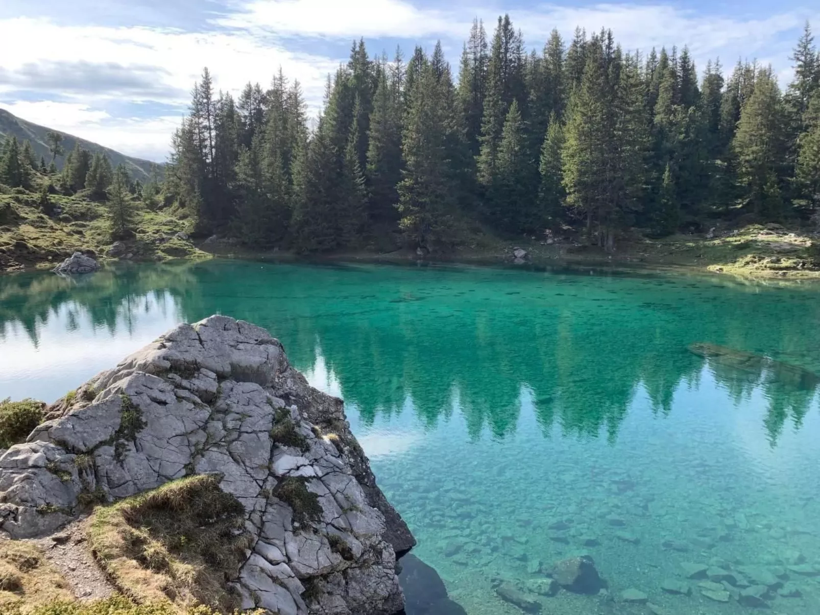 Chalet Bärgblüemli-Binnen
