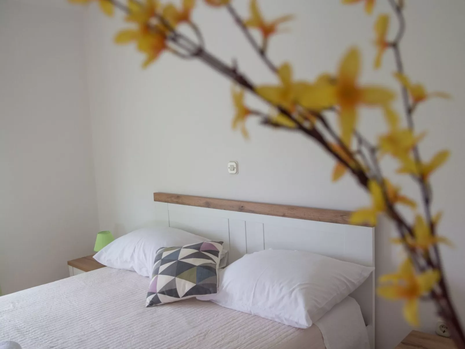 Wohnung Nikol mit großem Garten- TA Leut Agency-Binnen