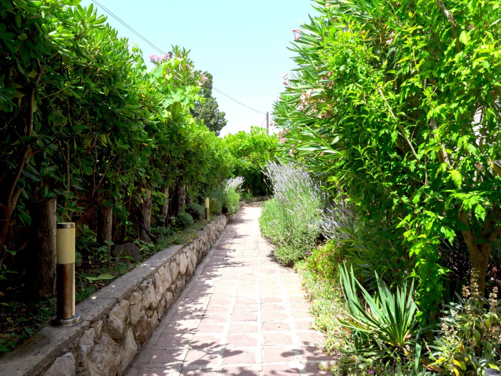 Studio "Buka Calm IV"-Buiten