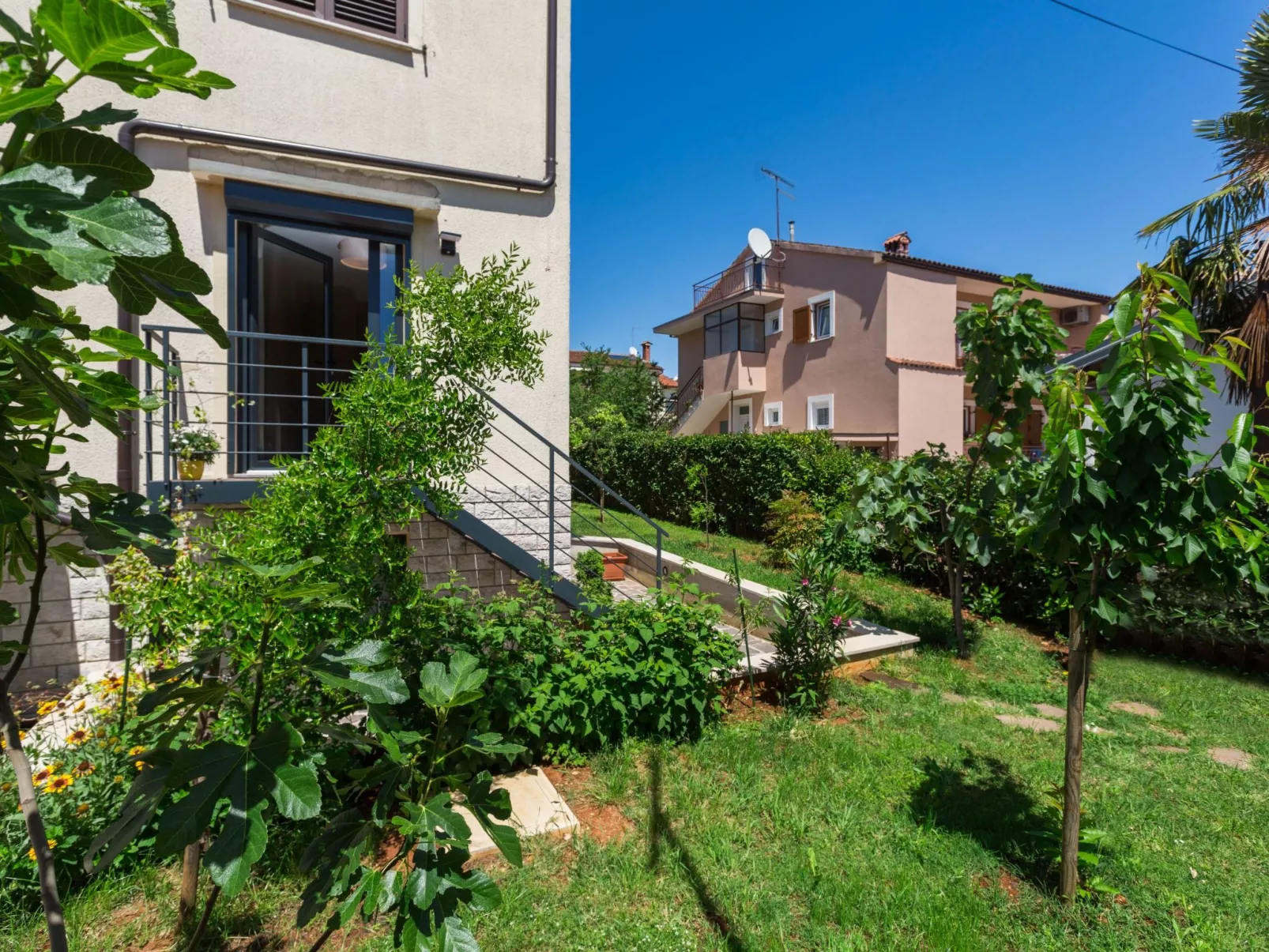 Oleandar-Image-tags.info