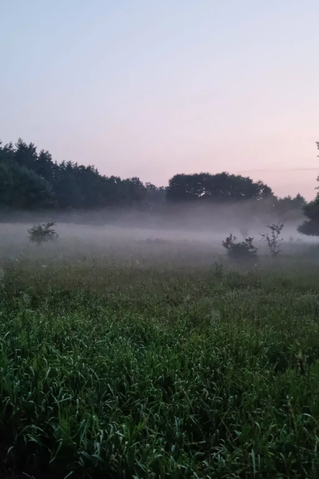 Lublewo21 Ferienhäuser - Buiten