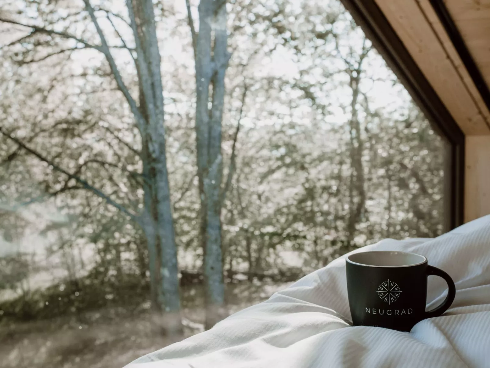 (IX) Cabin Cozy-Binnen