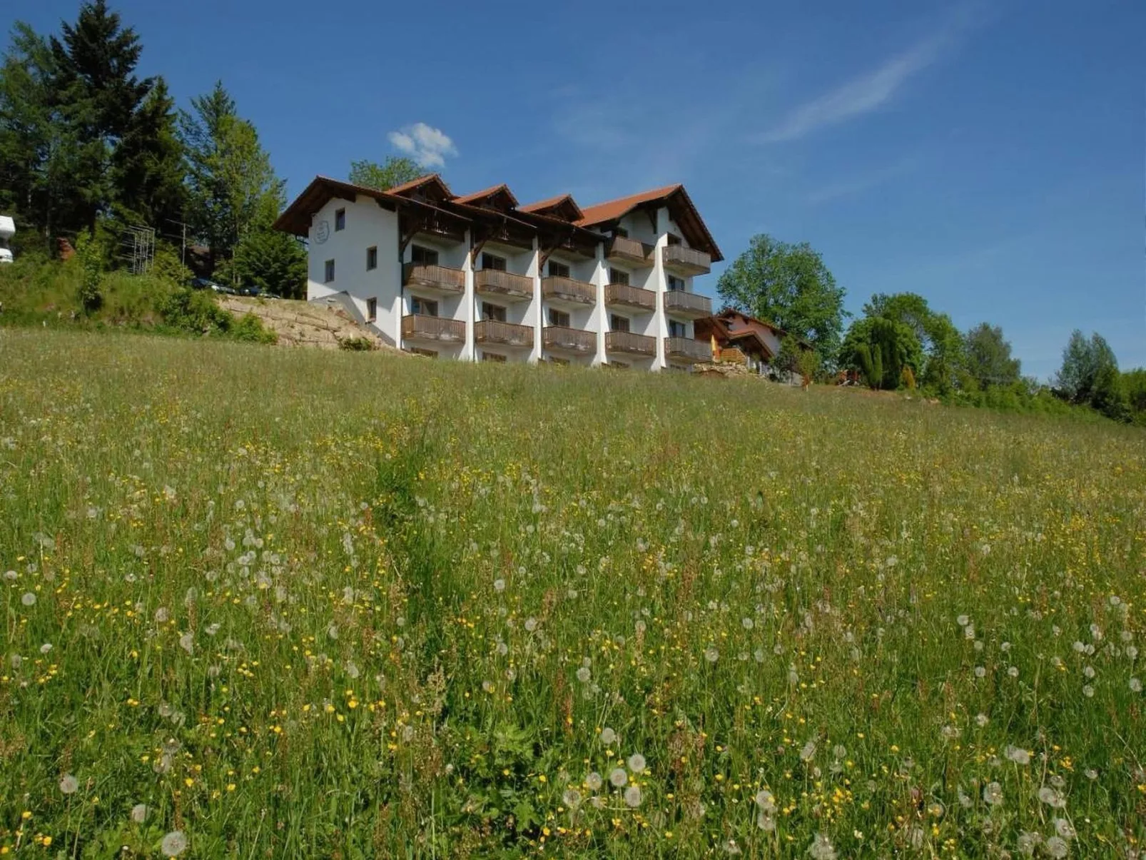 Im Bayerischen Wald inkl. aktivCard-Image-tags.info