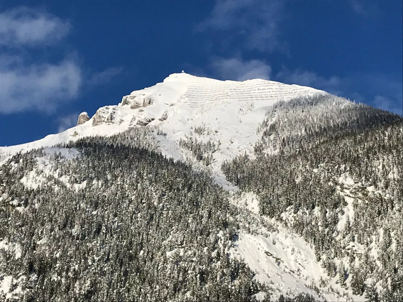 Barbara-Image-tags.info