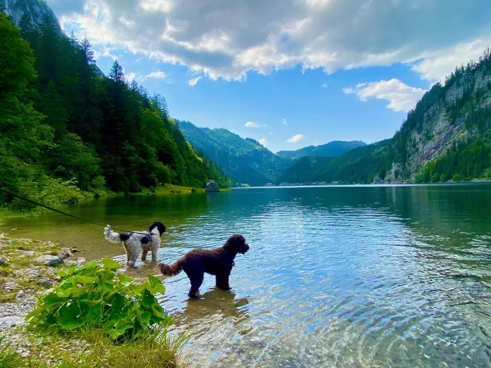 Chalet Promi-Alm in Flachau-Image-tags.info