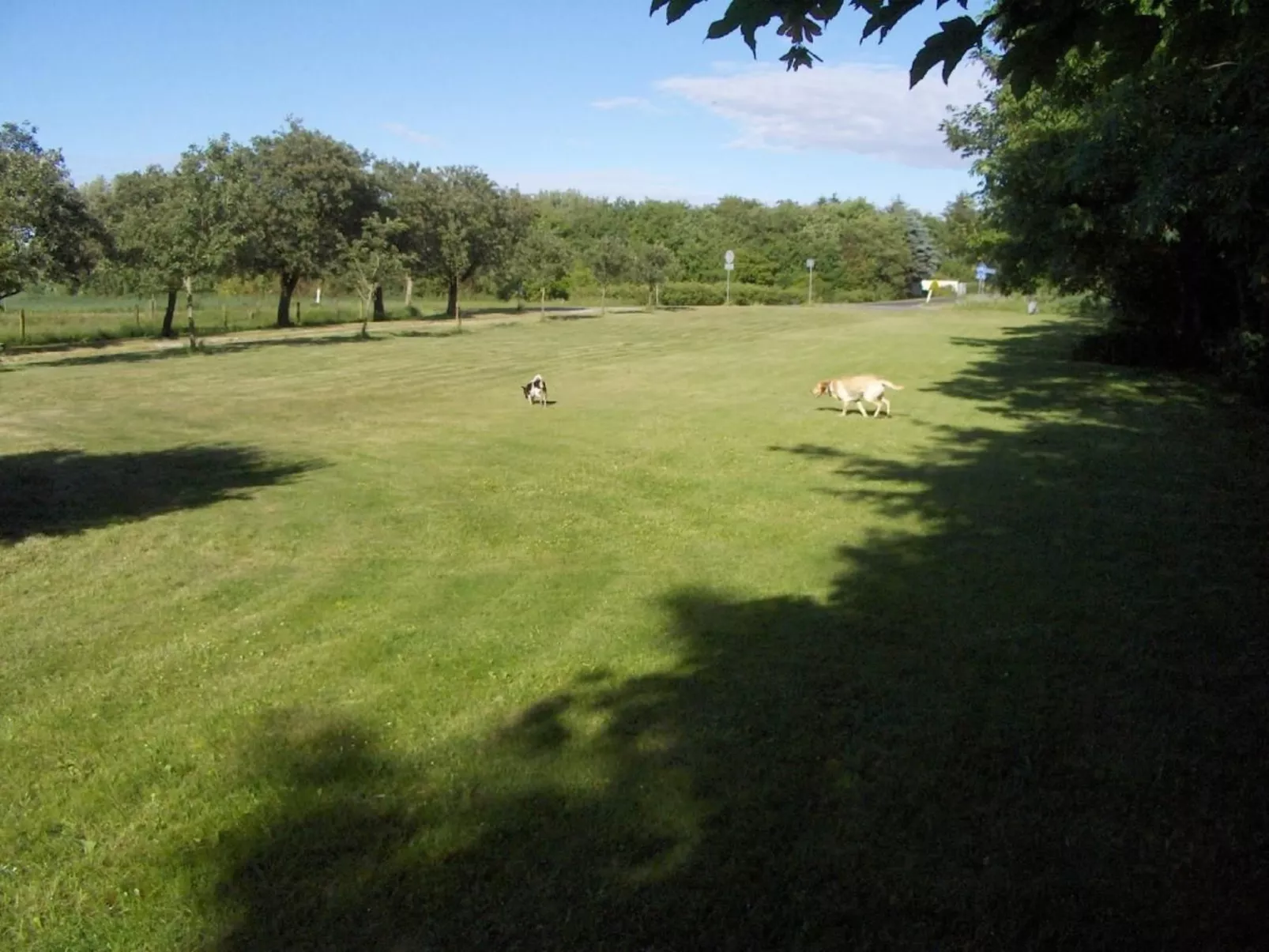 Fewo Skjærnsøde-Image-tags.info