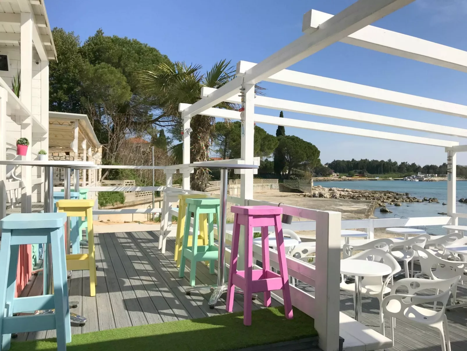 Vesna Peovic-Image-tags.info