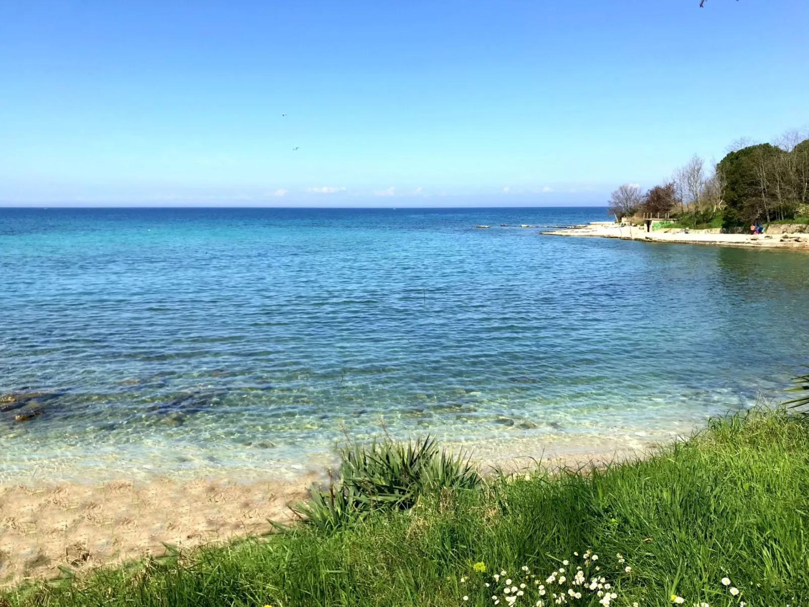 SILVA 3 prizemlje-Image-tags.info